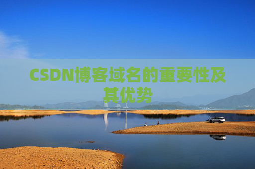 CSDN博客域名的重要性及其优势